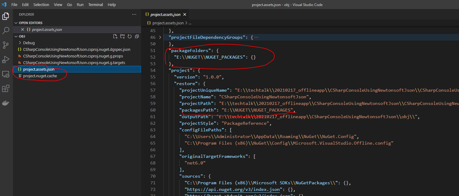 project-assets-json.png